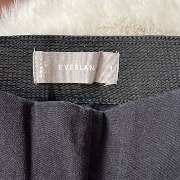 Everlane Black Skinny High Rise Side Zip Pants - Picture 3 of 9